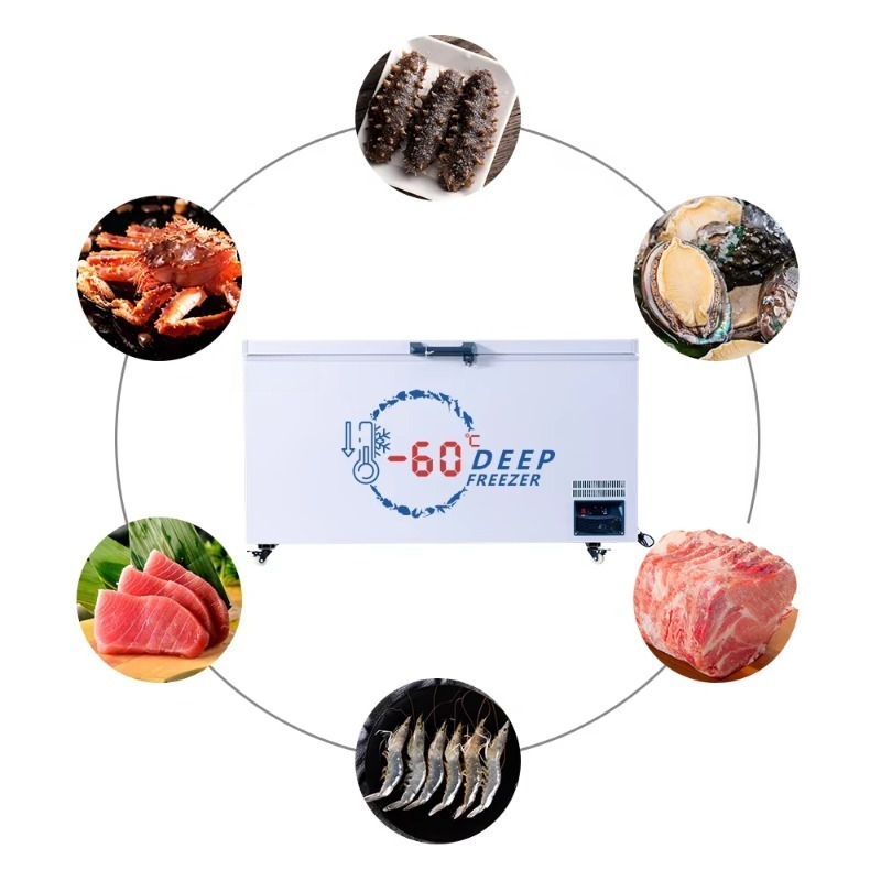 Süpermarketler ve Evler İçin E - Commercial Chest Freezer incelemesi ve fiyatı